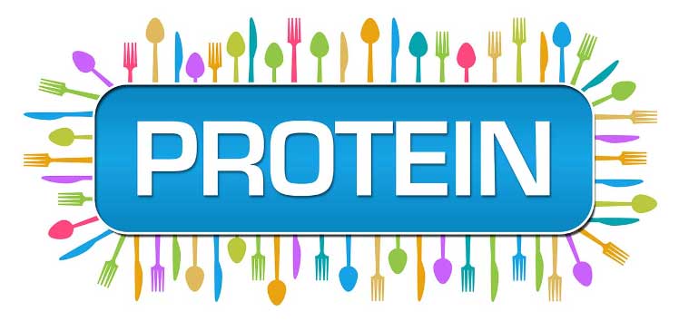 Яичный или сывороточный протеин